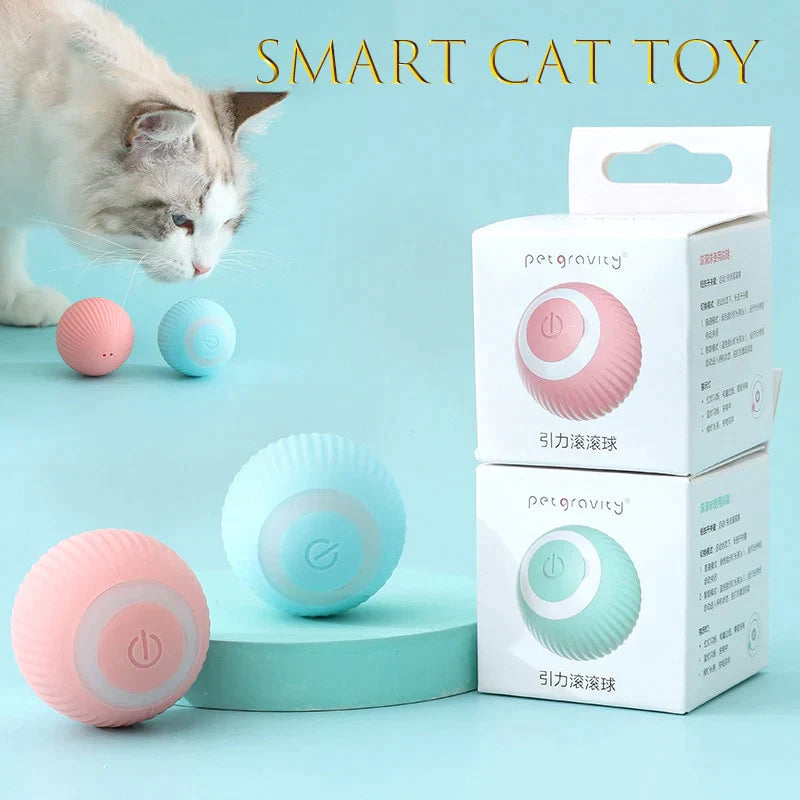 Bolinha interativa para gatos - Ramabox