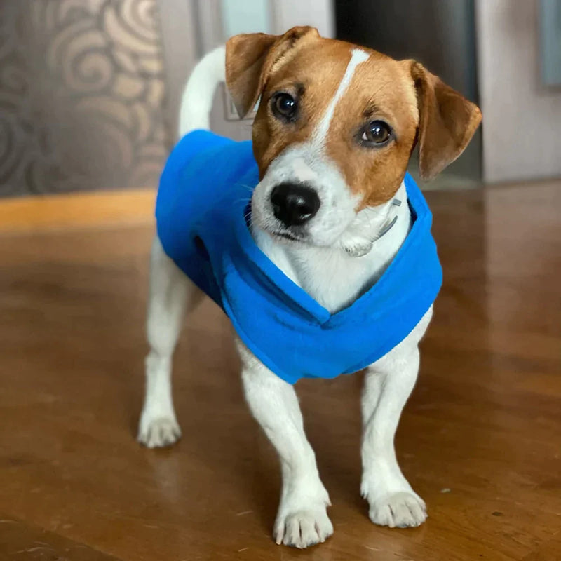 Roupinha para cães - Ramabox